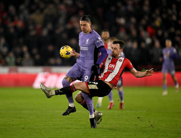 中自然融入 中自然融入